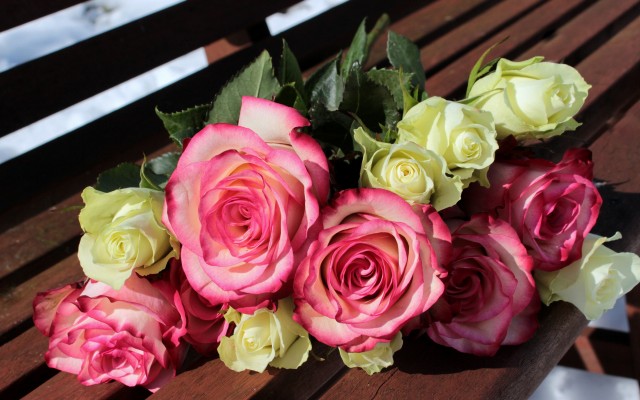 Flowers. Desktop wallpaper