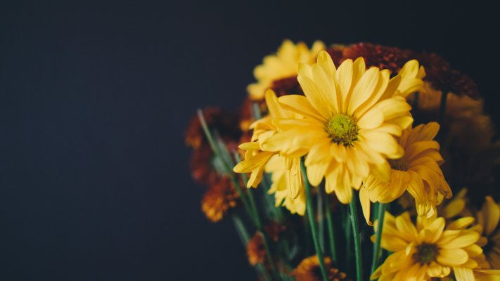 Flowers. Desktop wallpaper