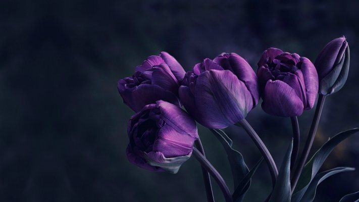 Flowers. Desktop wallpaper
