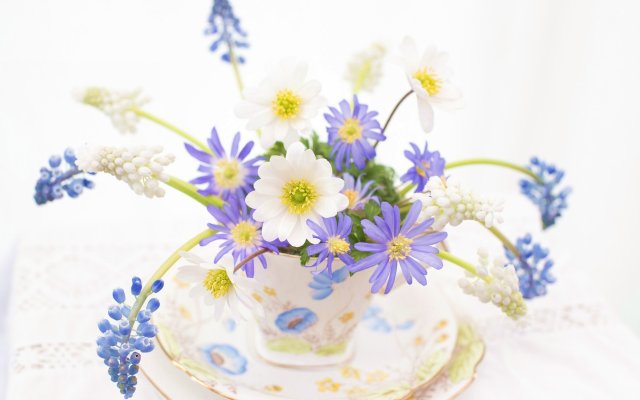 Flowers. Desktop wallpaper