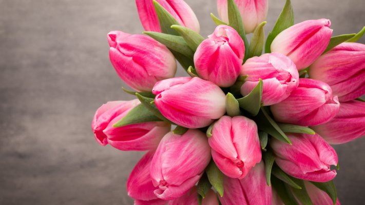 Flowers. Desktop wallpaper