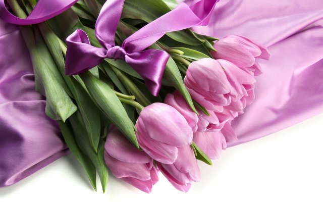 Flowers. Desktop wallpaper