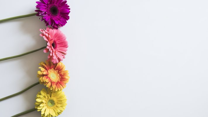 Flowers. Desktop wallpaper