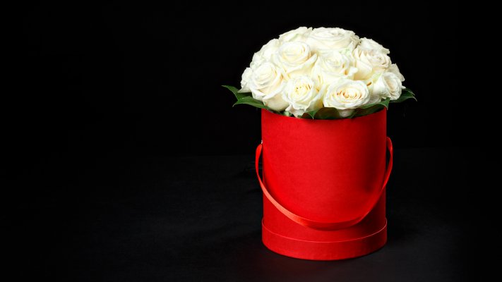 Flowers. Desktop wallpaper