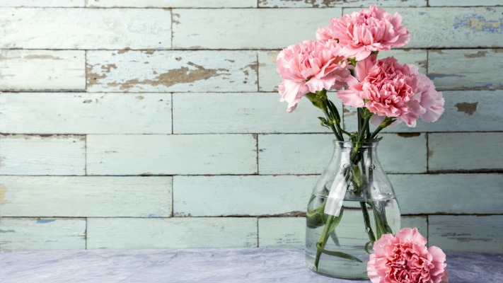 Flowers. Desktop wallpaper