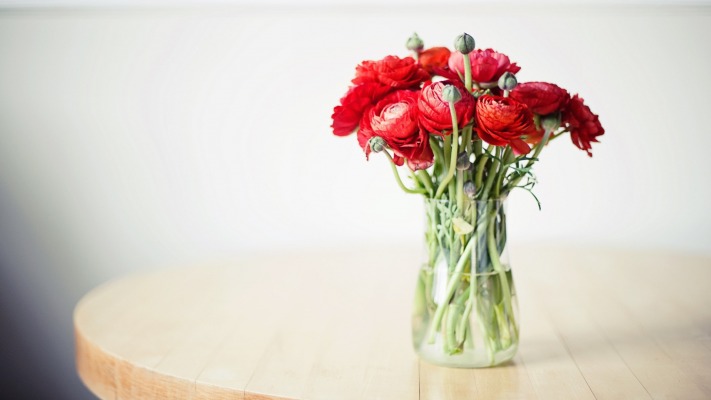 Flowers. Desktop wallpaper
