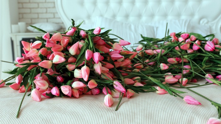 Flowers. Desktop wallpaper