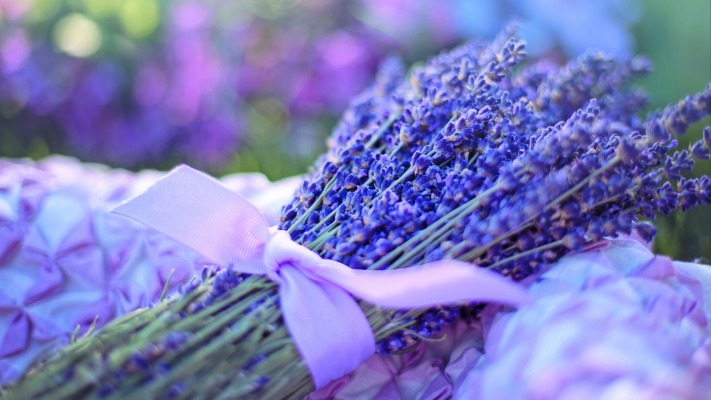 Flowers. Desktop wallpaper