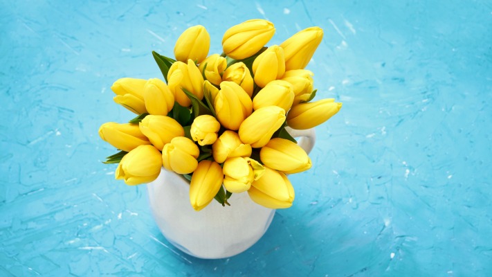Flowers. Desktop wallpaper