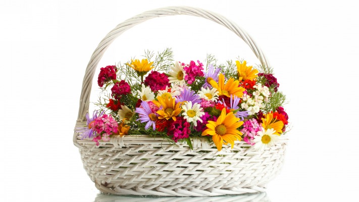 Flowers. Desktop wallpaper