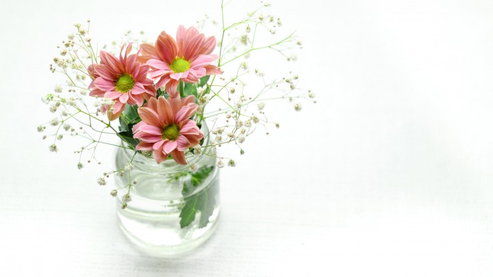 Flowers. Desktop wallpaper