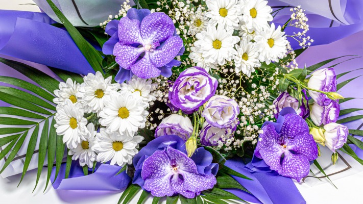 Flowers. Desktop wallpaper