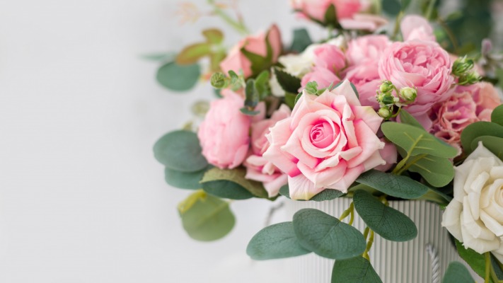 Flowers. Desktop wallpaper