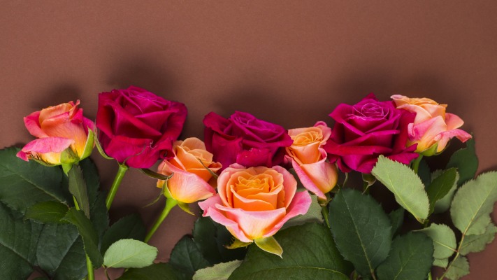 Flowers. Desktop wallpaper