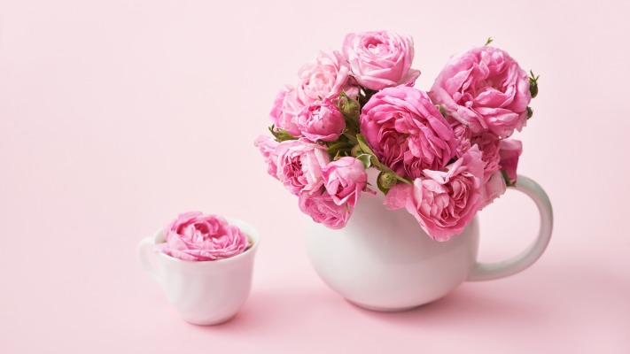 Flowers. Desktop wallpaper