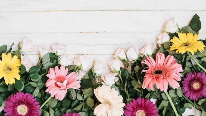 Flowers. Desktop wallpaper