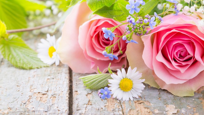 Flowers. Desktop wallpaper