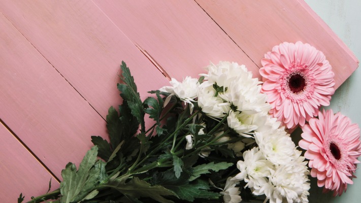 Flowers. Desktop wallpaper