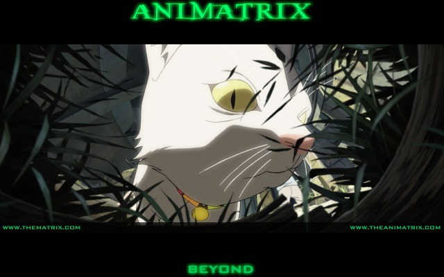 Animatrix, The. Desktop wallpaper