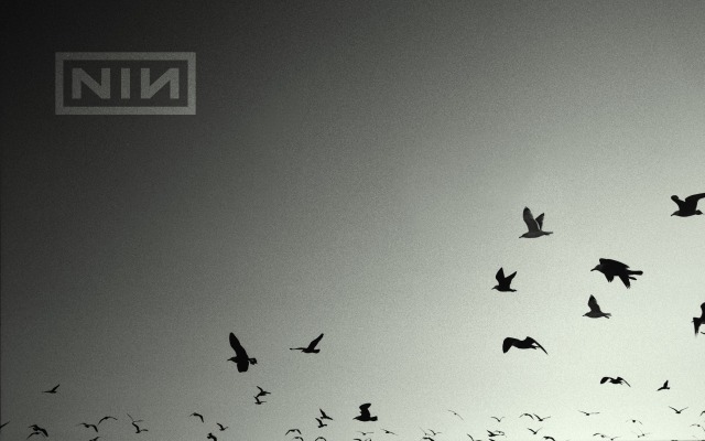 Nine Inch Nails. Desktop wallpaper