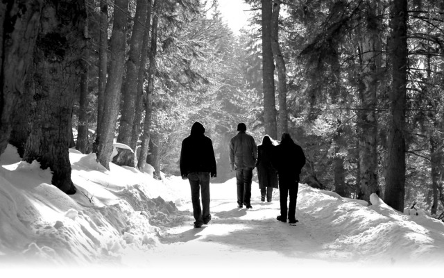 Agalloch. Desktop wallpaper