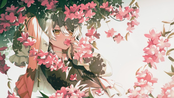 Anime. Desktop wallpaper