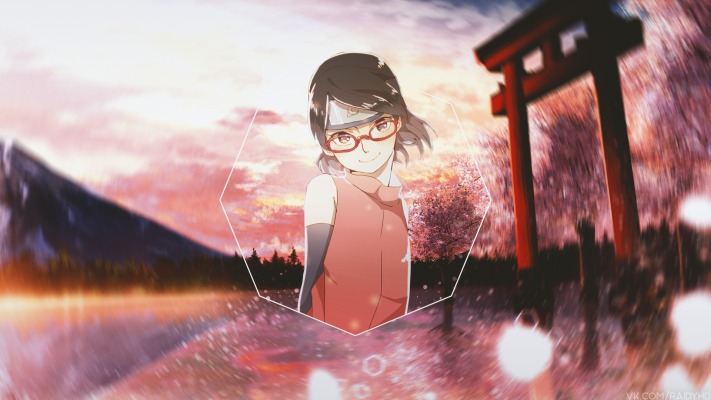 Sarada Uchiha. Desktop wallpaper