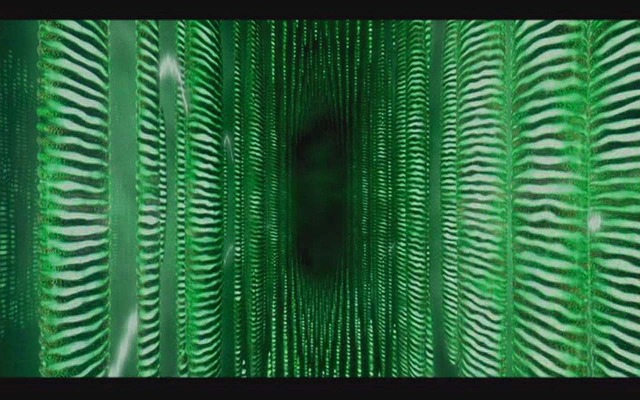 Matrix, The. Desktop wallpaper