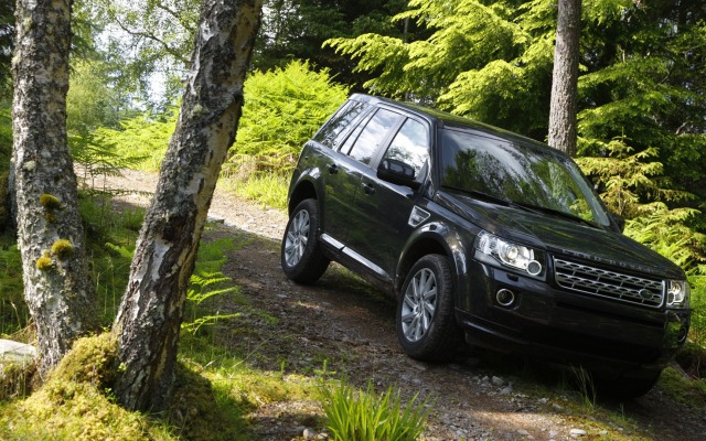 Land Rover Freelander 2 2013. Desktop wallpaper