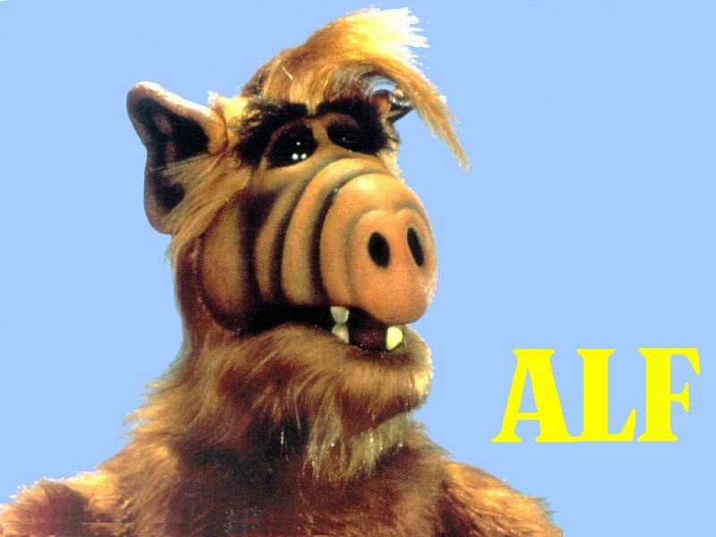 Alf - Desktop wallpaper.