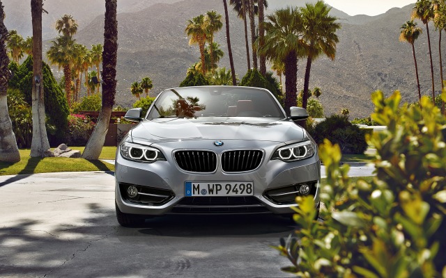 BMW 2 Series Convertible 2015. Desktop wallpaper