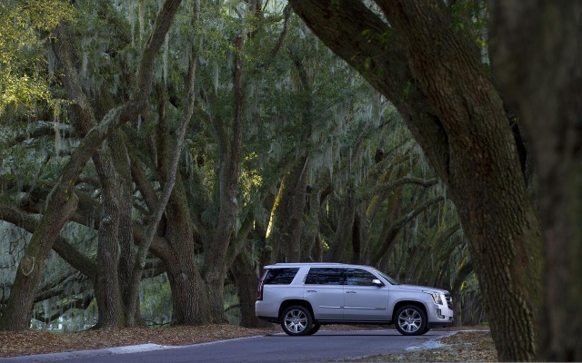 Cadillac Escalade 2016. Desktop wallpaper