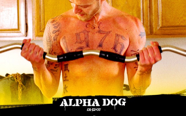 Alpha Dog. Desktop wallpaper
