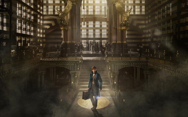 Fantastic Beasts and Where to Find Them. Desktop wallpaper