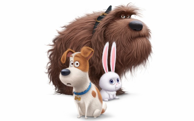 Secret Life of Pets, The. Desktop wallpaper