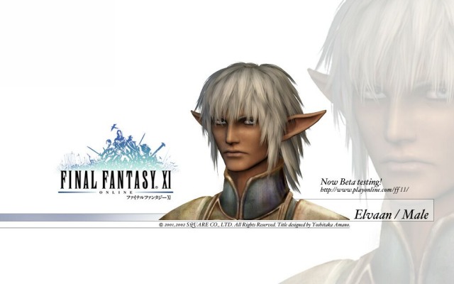 Final Fantasy 11. Desktop wallpaper