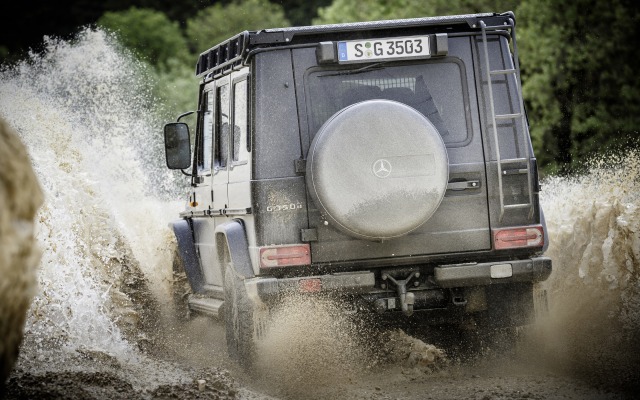 Mercedes-Benz G 350d Professional 2016. Desktop wallpaper