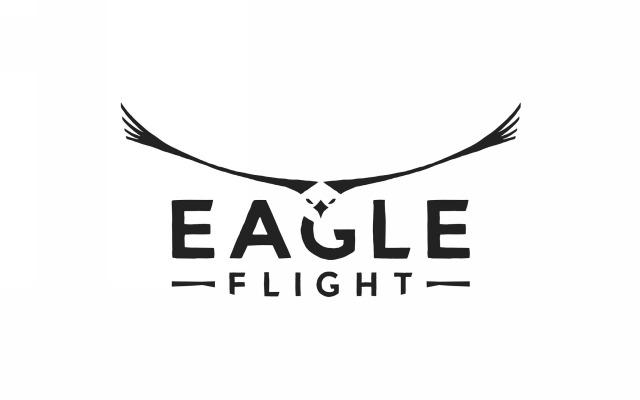 Eagle Flight. Desktop wallpaper