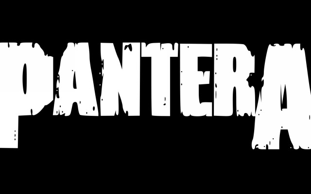 Pantera. Desktop wallpaper