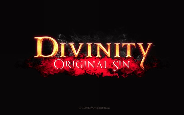 Divinity: Original Sin. Desktop wallpaper