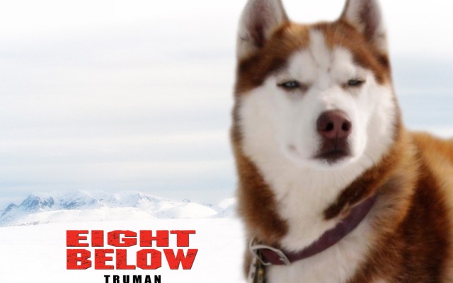 Eight Below. Desktop wallpaper