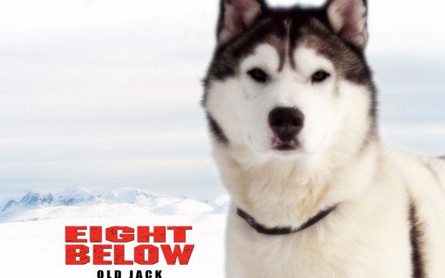 Eight Below. Desktop wallpaper