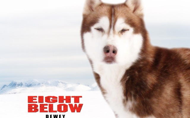 Eight Below. Desktop wallpaper