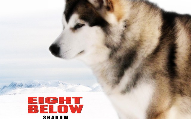 Eight Below. Desktop wallpaper