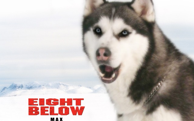 Eight Below. Desktop wallpaper