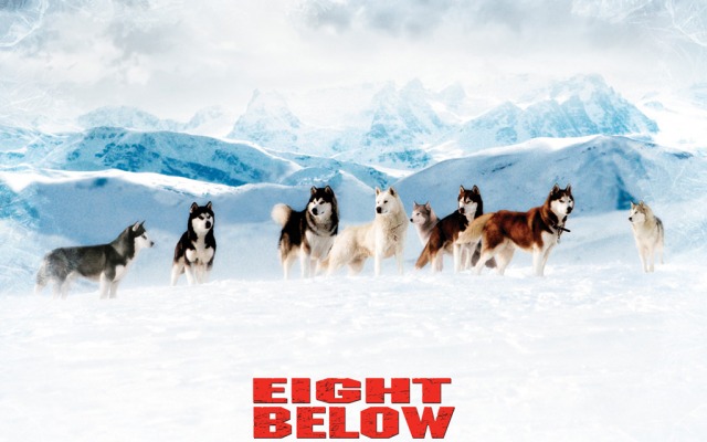 Eight Below. Desktop wallpaper