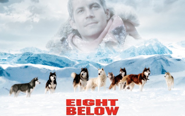 Eight Below. Desktop wallpaper