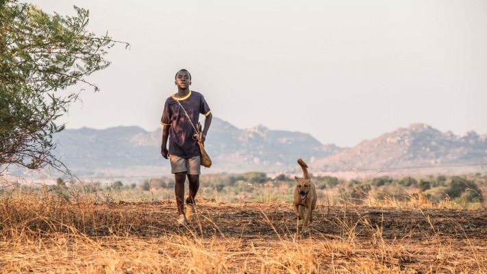 Boy Who Harnessed the Wind, The. Desktop wallpaper