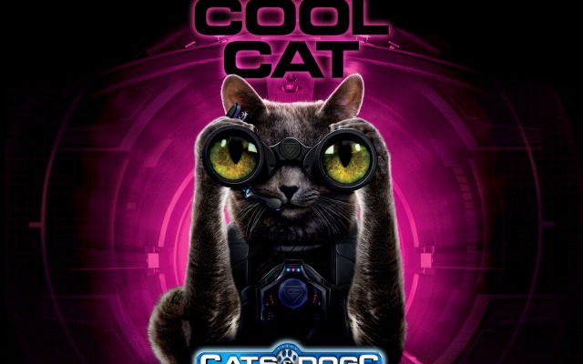 Cats & Dogs: The Revenge of Kitty Galore. Desktop wallpaper