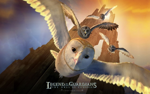 Legend of the Guardians: The Owls of Ga'Hoole. Desktop wallpaper